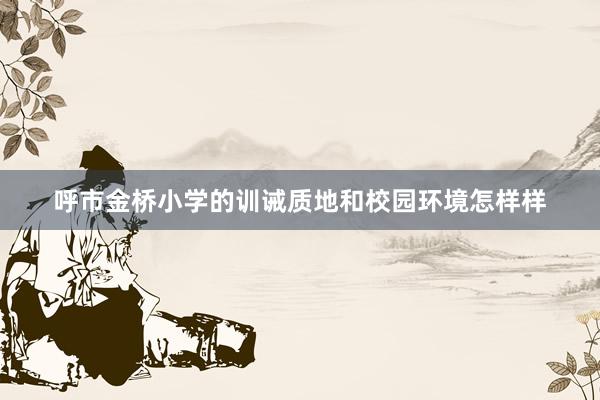 呼市金桥小学的训诫质地和校园环境怎样样